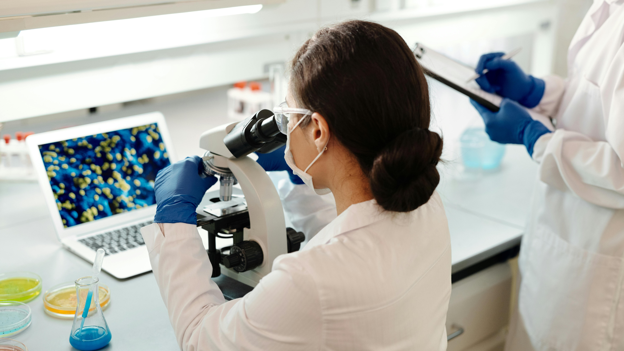 TEACH SCIENCE WITH A STEAM APPROACH - INTERNATIONAL SUMMER SCHOOL