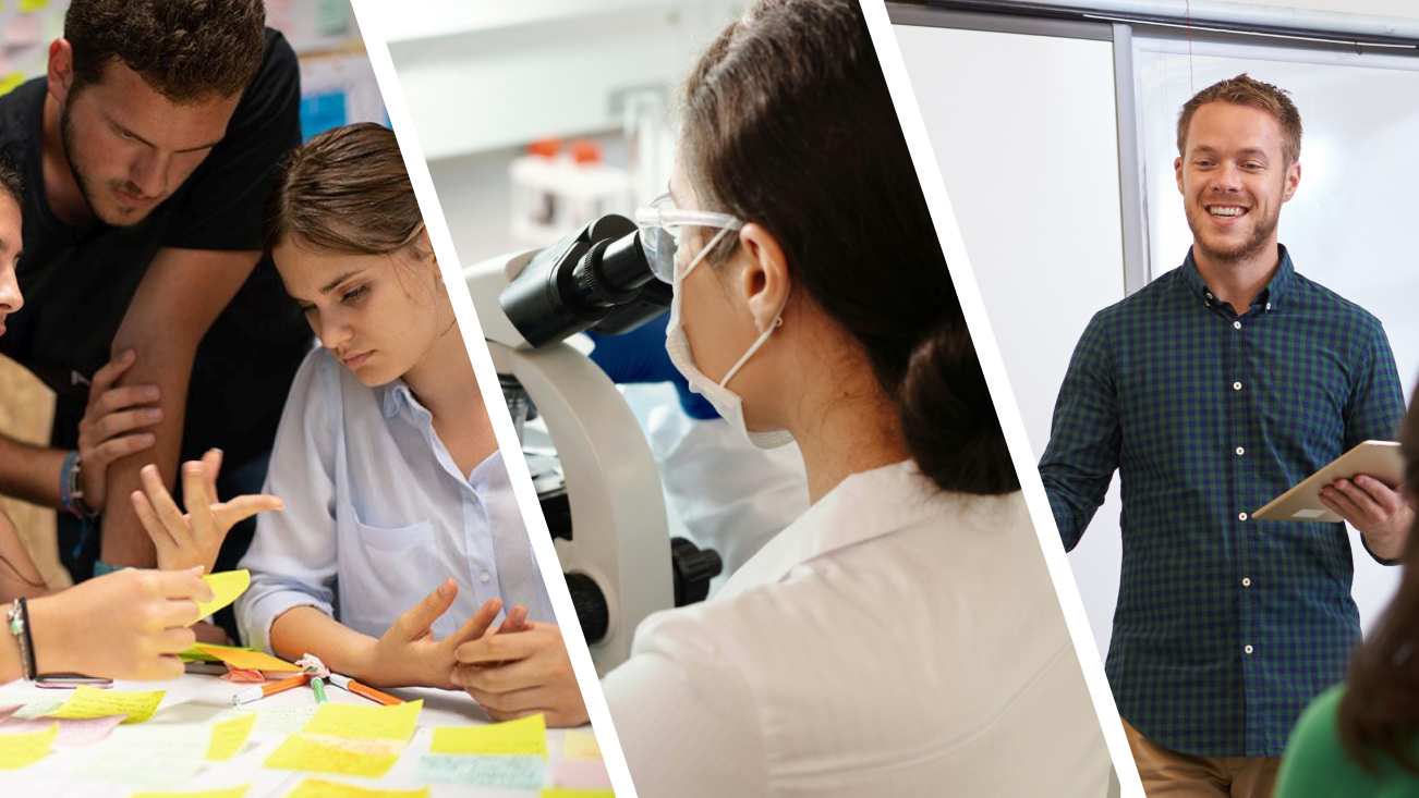 ESTATE 2025: ATTIVITÀ PER DOCENTI, DIRIGENTI SCOLASTICI, FORMATRICI/TORI E RICERCATRICI/TORI