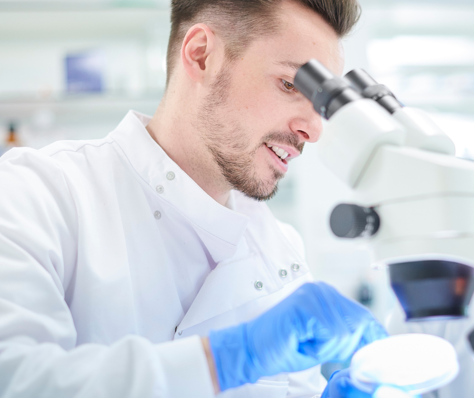 SCIENZA E INNOVAZIONE: LE NUOVE SUMMER SCHOOL PER L'ESTATE 2026 